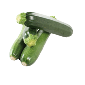 Zucchetti
