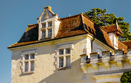 Ein idyllisches Bild eines Weinguts zeigt endlose Reben, die in sanften Hügeln reifen.