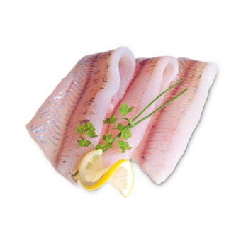 Zanderfilet ohne Haut