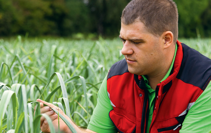 Ein farbenfrohes Bild zeigt eine Fülle von frischem Gemüse, kunstvoll arrangiert und zum Verzehr bereit.