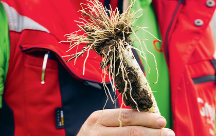 Ein farbenfrohes Bild zeigt eine Fülle von frischem Gemüse, kunstvoll arrangiert und zum Verzehr bereit.