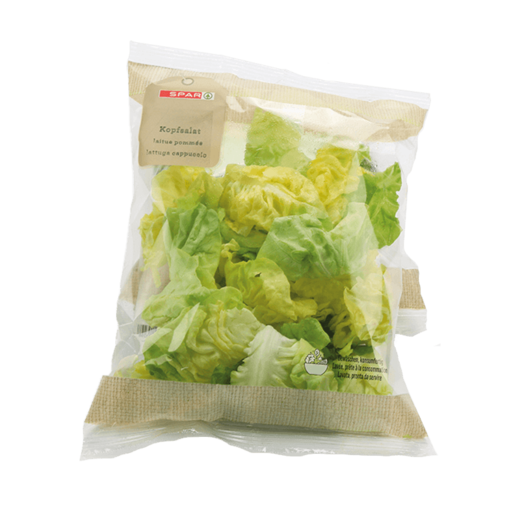 Fresh to go Kopfsalat