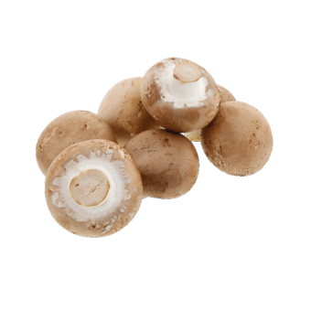 Champignons braun Grilletto