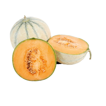 Melonen Charentais