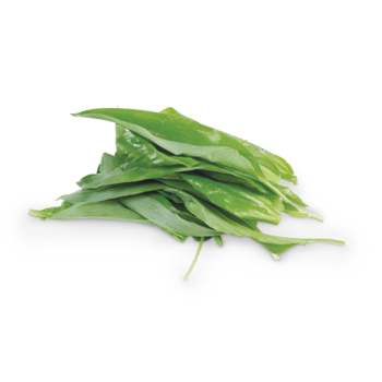 Spar