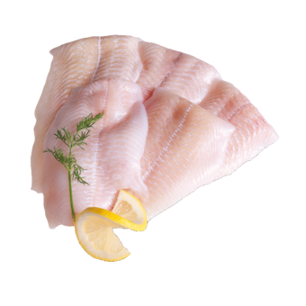 Goldbuttfilet ohne Haut