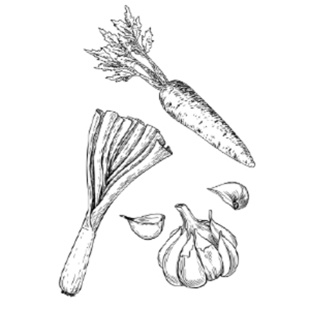 Eine Schwarz-Weiß-Zeichnung von einer Karotte, Lauch und Knoblauch.