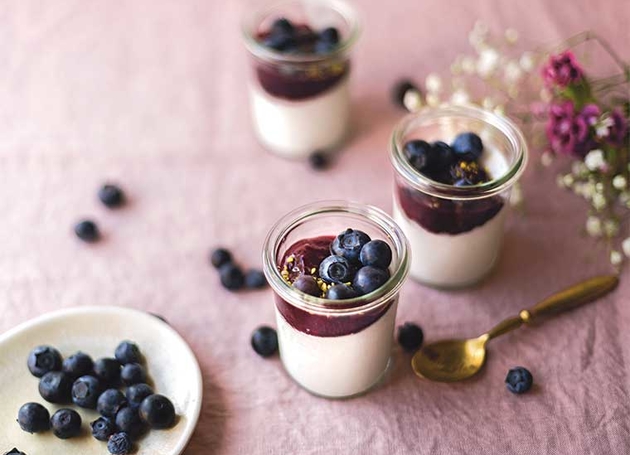 Vanille Panna Cotta