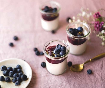 Vanille Panna Cotta