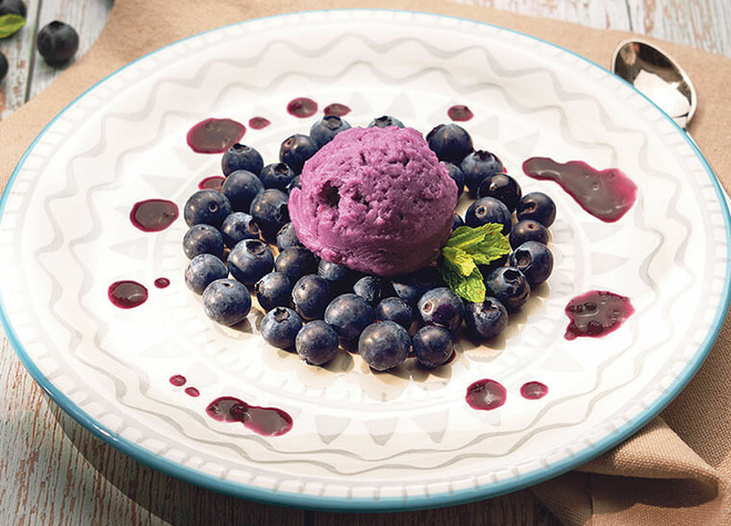 Heidelbeereiscreme