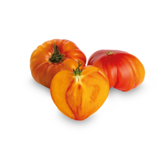 Feuertomaten