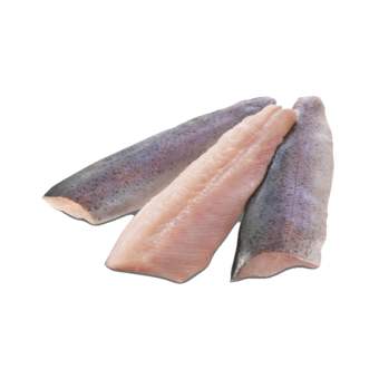 Forellenfilet mit Haut