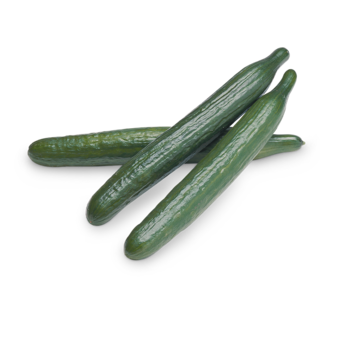 Salatgurken