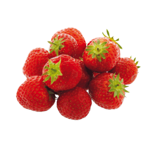 Erdbeeren