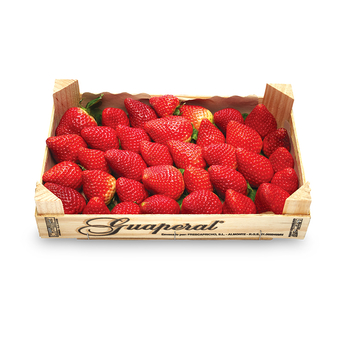 Erdbeeren Premium