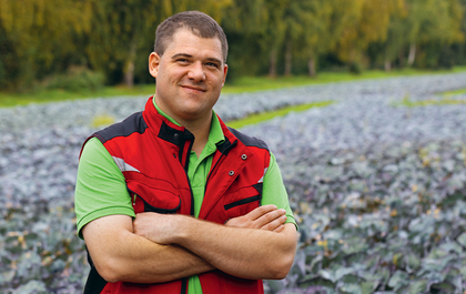 Ein farbenfrohes Bild zeigt eine Fülle von frischem Gemüse, kunstvoll arrangiert und zum Verzehr bereit.