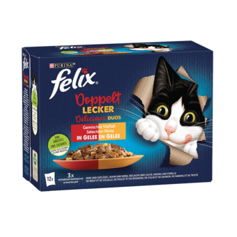 Felix Katzennahrung nass