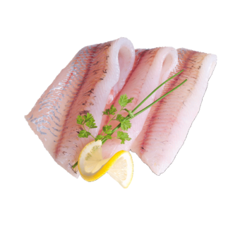 Zanderfilet ohne Haut