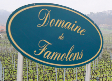 Ein idyllisches Bild eines Weinguts zeigt endlose Reben, die in sanften Hügeln reifen.