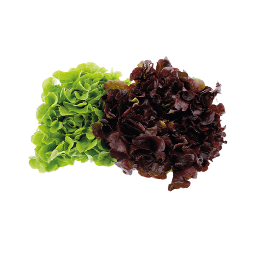 SPAR Natural  Bio-Blattsalate Mix