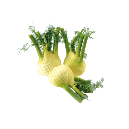 SPAR Natural Bio-Fenchel