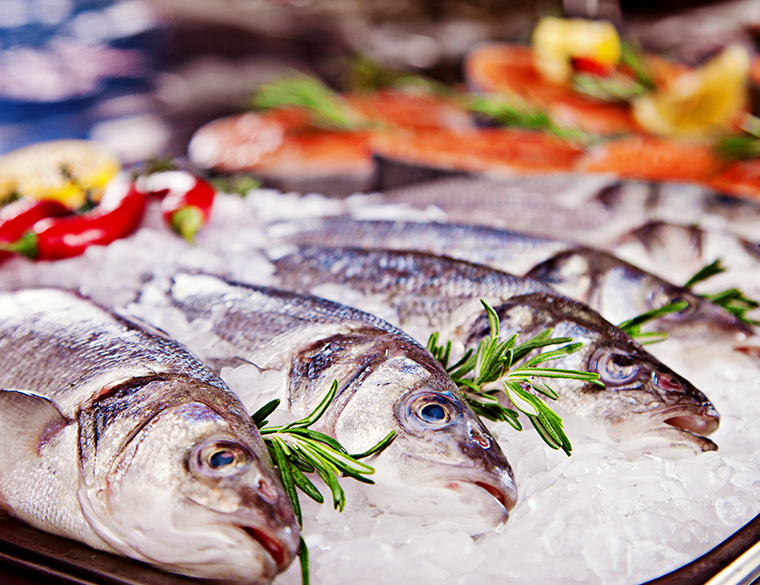 Fisch macht fit