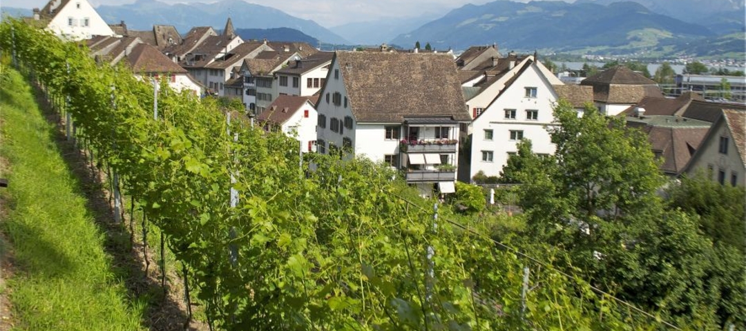 St. Galler Rheintal