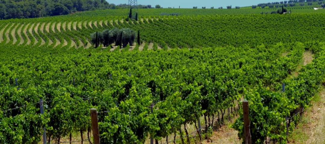Puglia